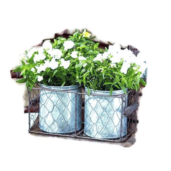 Galvanized Planter In Chicken Wire Basket-Double Planter - Picture 2 of 6